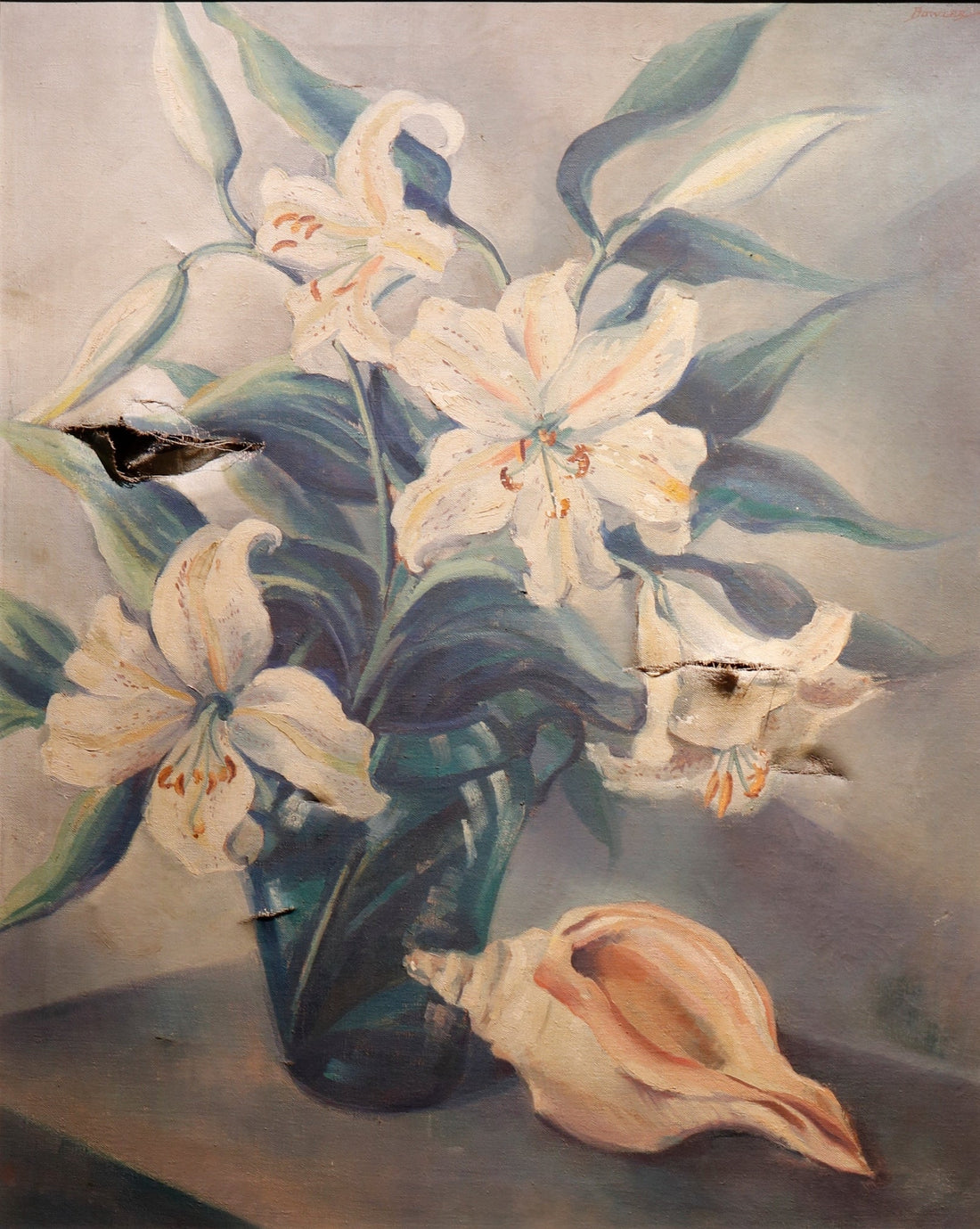 Lilies and Shell by Harold T. Bowler