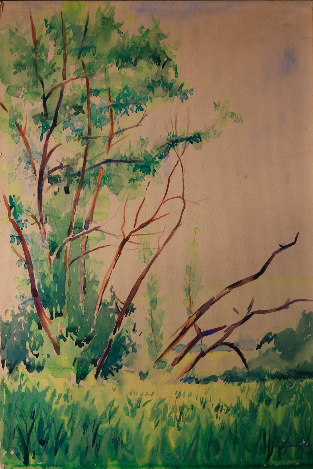 Willow Tree by Richard T Gaige
