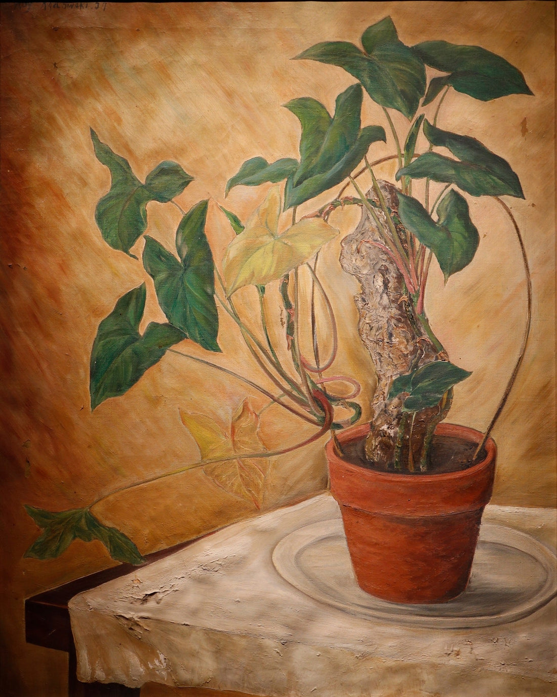 Japanese Plant by Roy Kadowaki