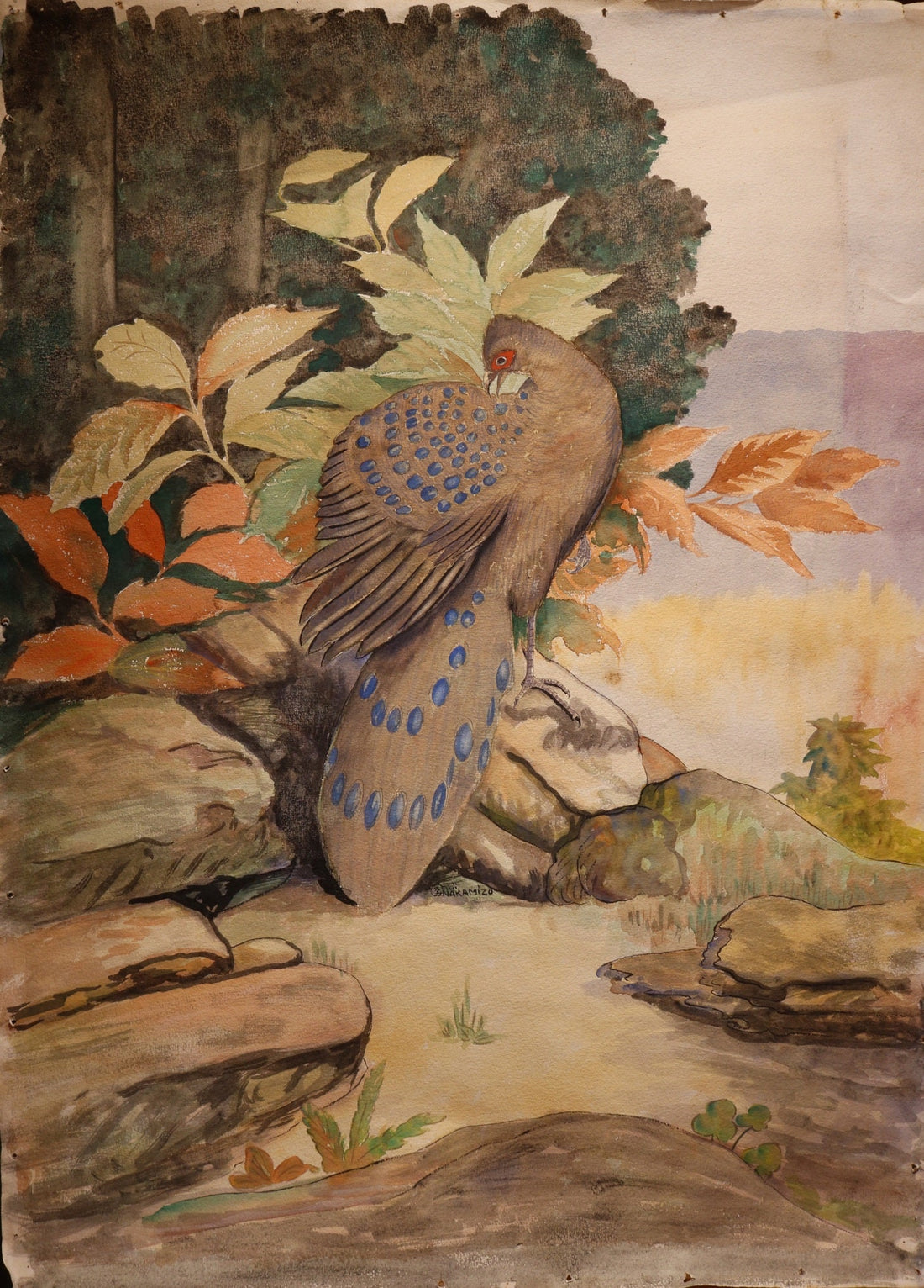 Peacock Pheasant by Fuji Nakamizo