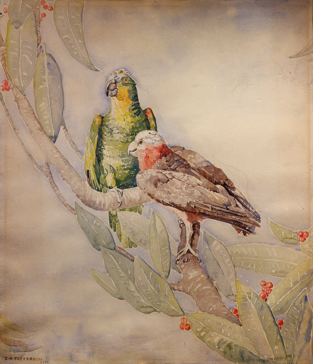 Patterson, Claude A. (1887-1973) "High in the Tree Tops"