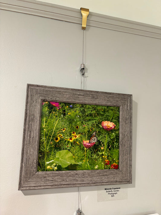 Butterfly Garden