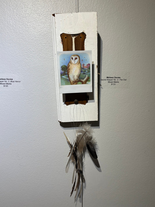 Secret Keeper No. 3: The Owl