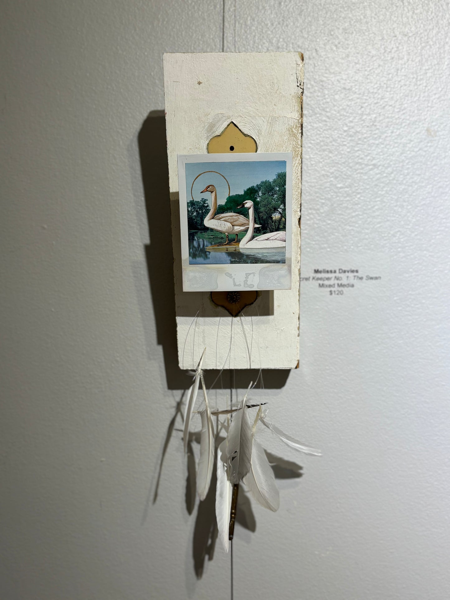 Secret Keeper No. 1: The Swan