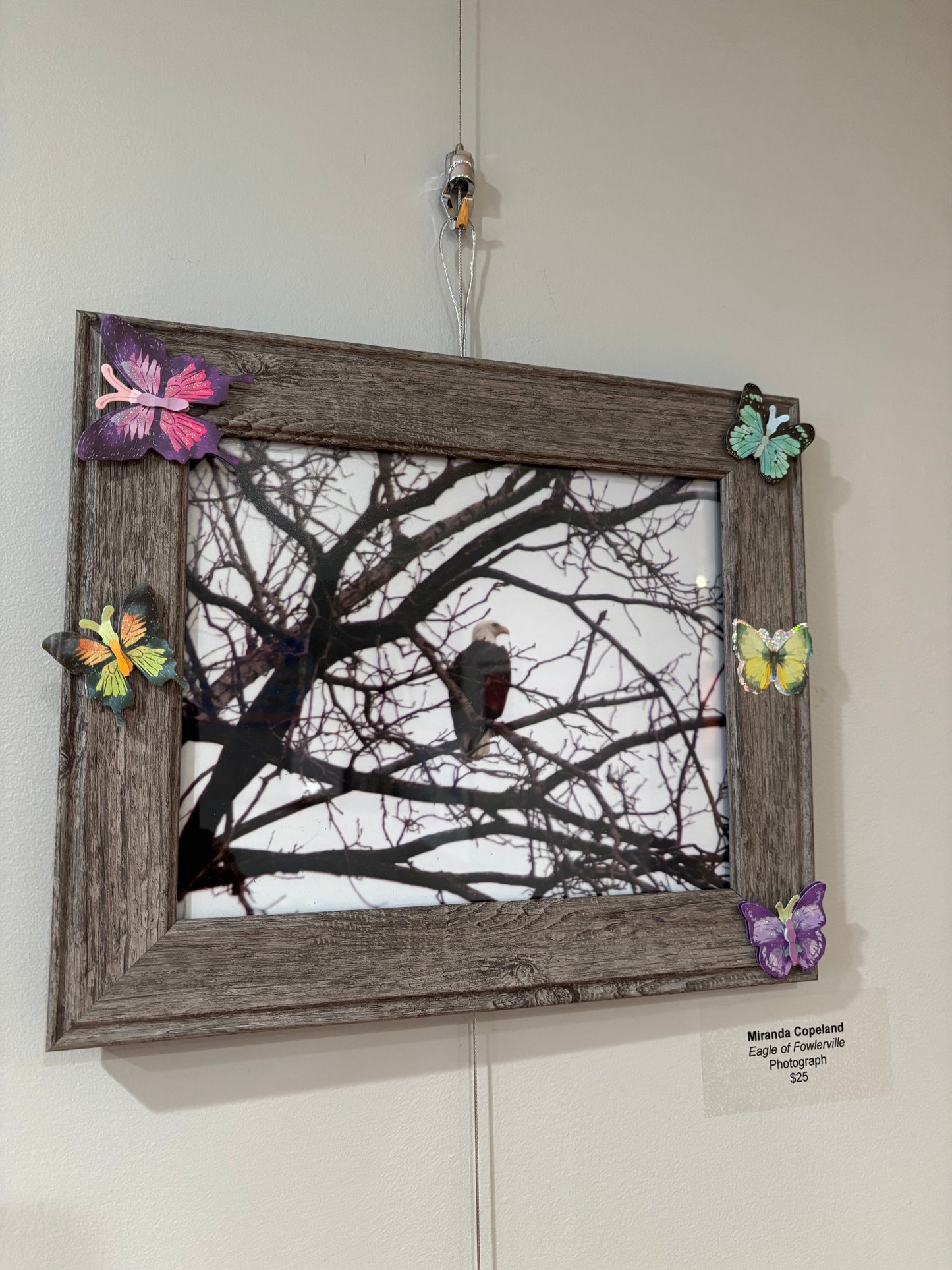 Eagle of Flowerville