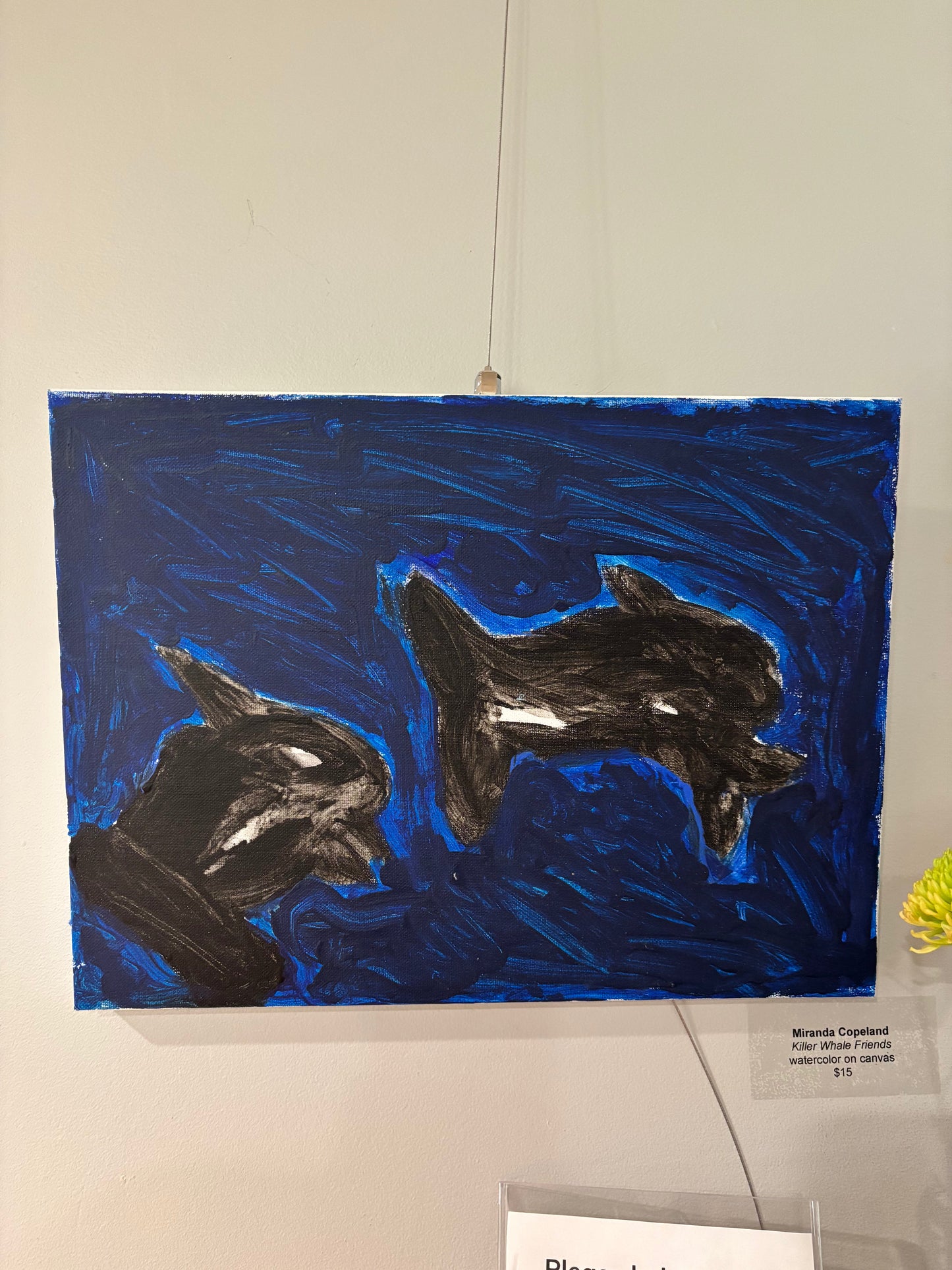 Killer whale Friends