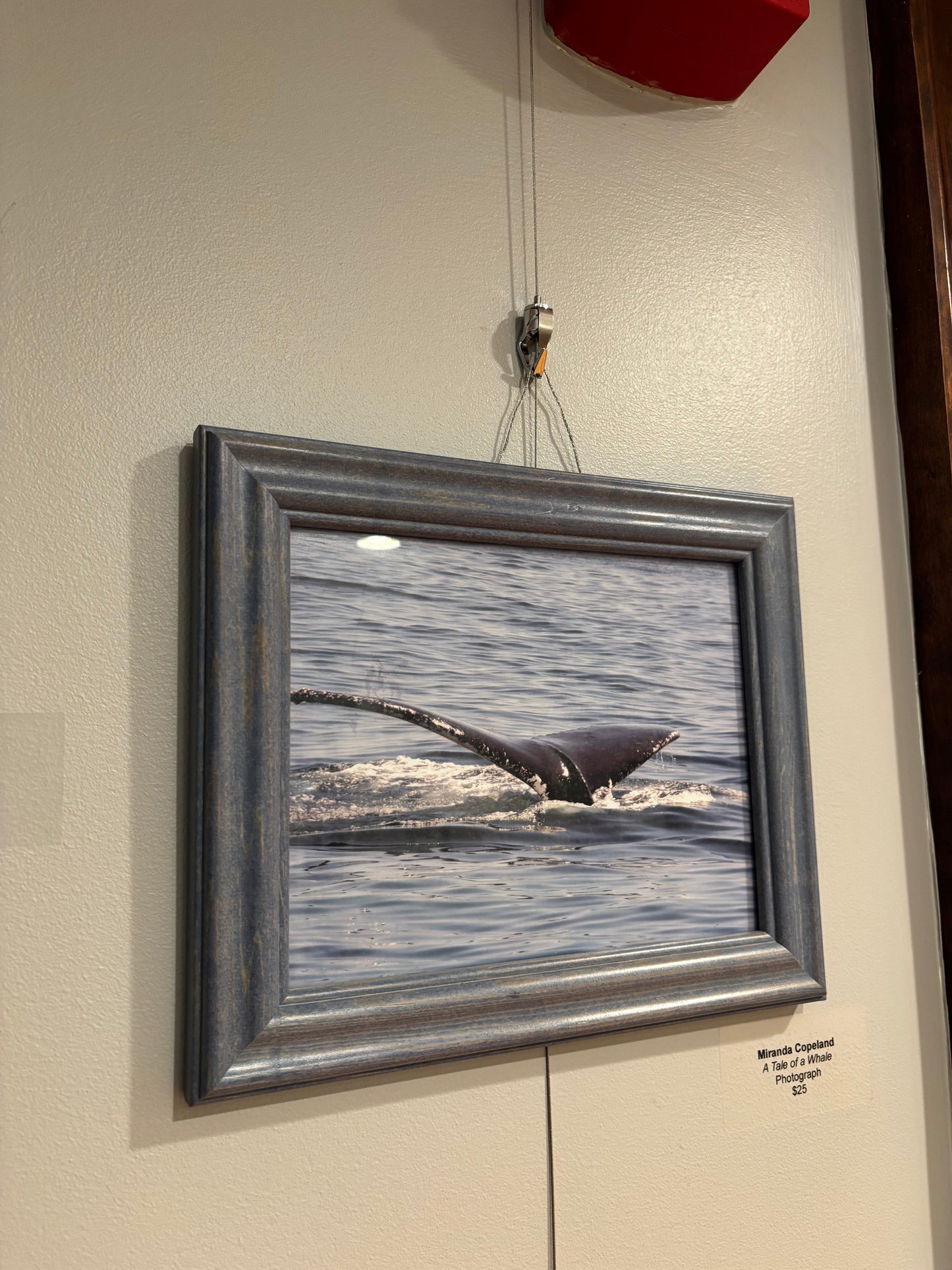 A Tale of a Whale
