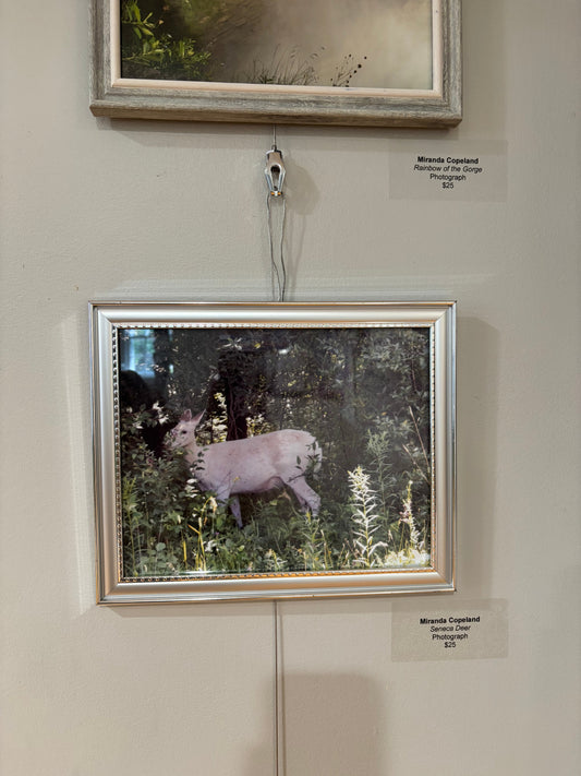 Seneca Deer