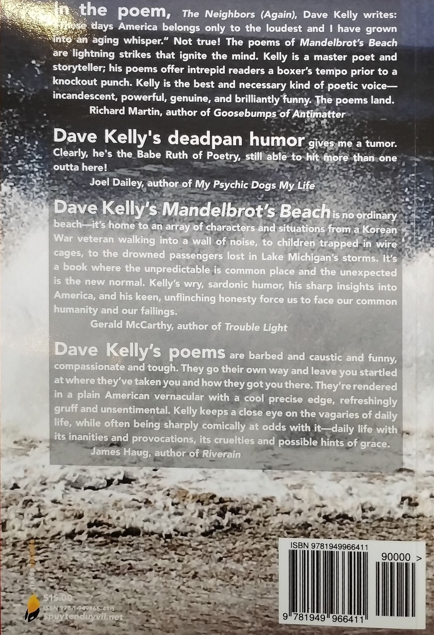 Mandelbrot's Beach by Dave Kelly