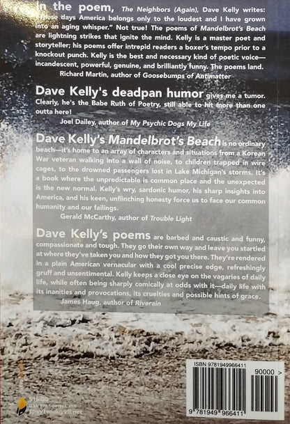 Mandelbrot's Beach by Dave Kelly