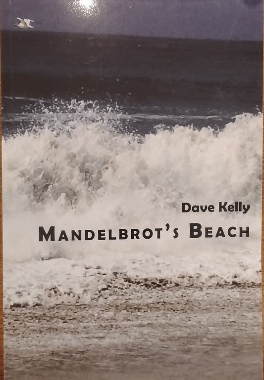 Mandelbrot's Beach by Dave Kelly